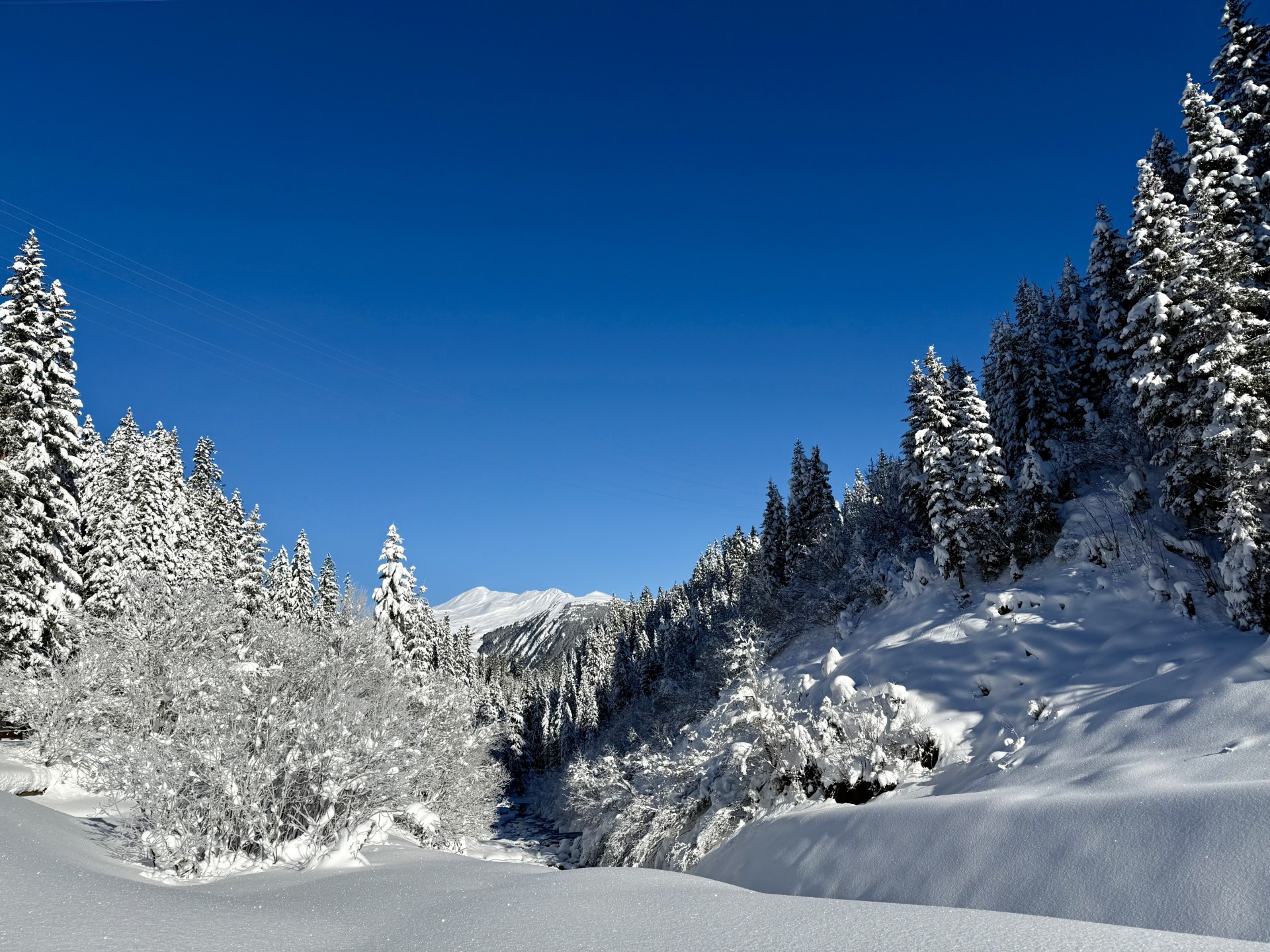 Die Plessur bei Arosa